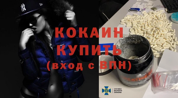 бошки Няндома