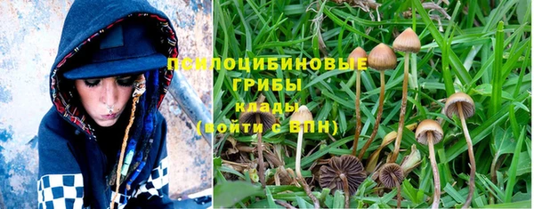 jwh Нязепетровск
