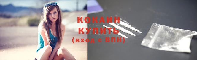 бошки Няндома
