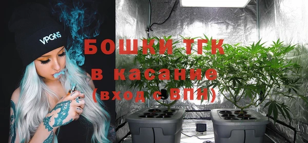 бошки Няндома