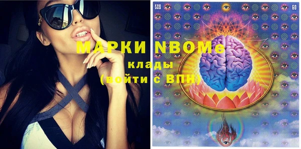 бошки Няндома