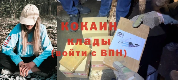 бошки Няндома