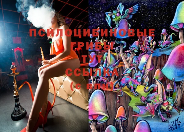jwh Нязепетровск