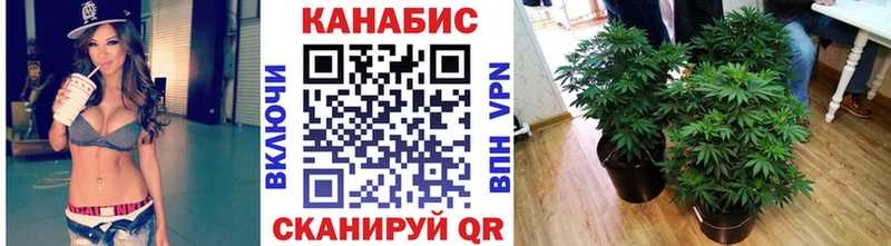 KRAKEN ссылки  Пучеж  Бошки Шишки OG Kush 